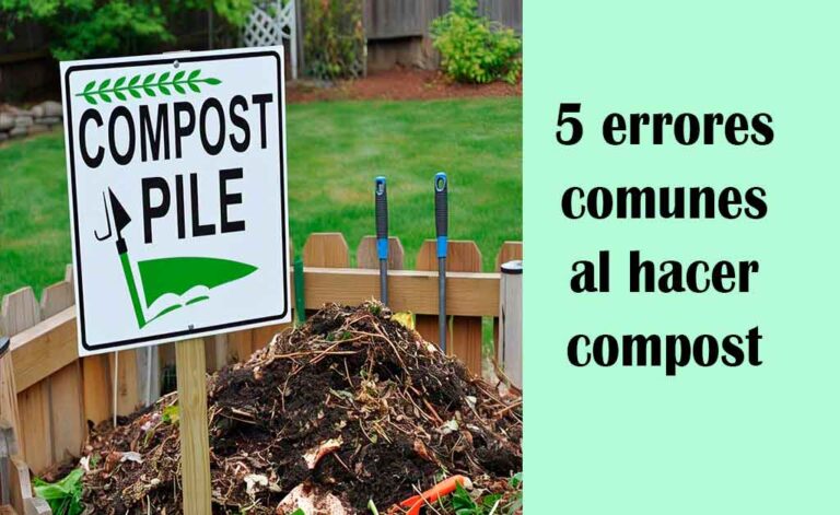 5 errores comunes al hacer compost